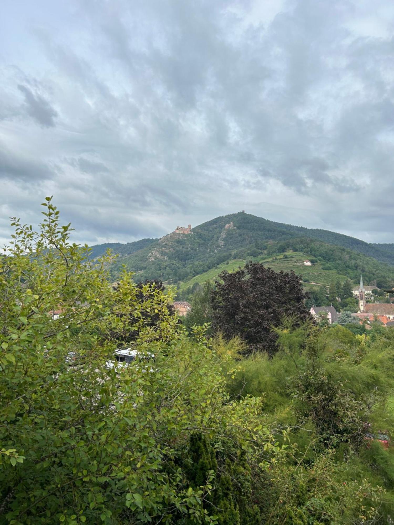 Vue Magnifique Sur Les Chateaux Ribeauvillé Exterior foto